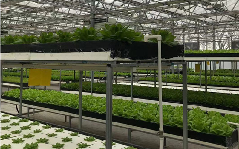 人生就是博_首页